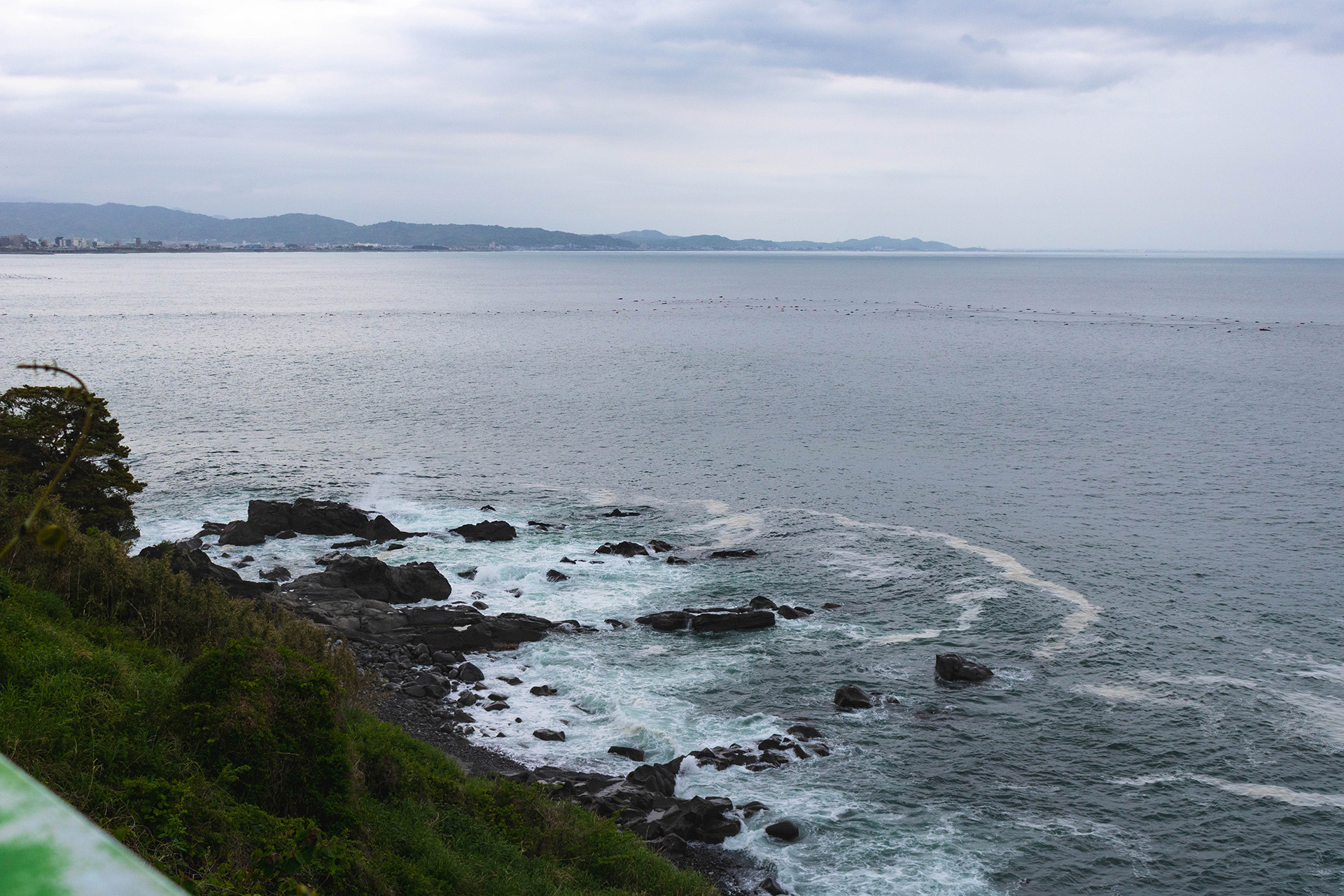 Grassy and rocky coast on an overcast day.